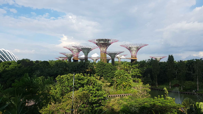 Gardens by the Bay