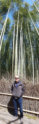 Arashiyama Bamboo Grove