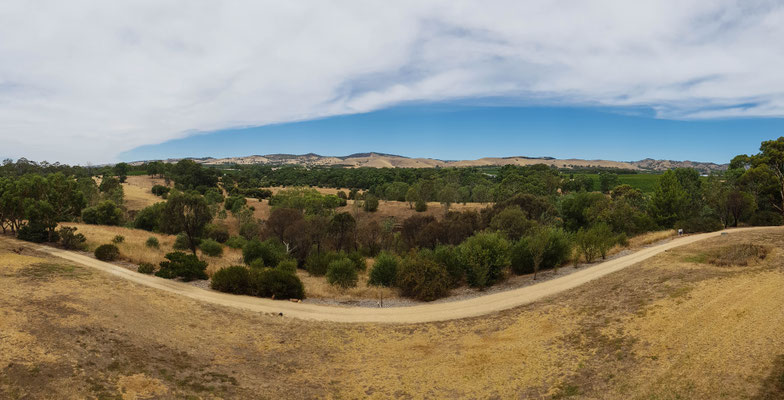 Barossa Valley