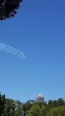 Australia Day