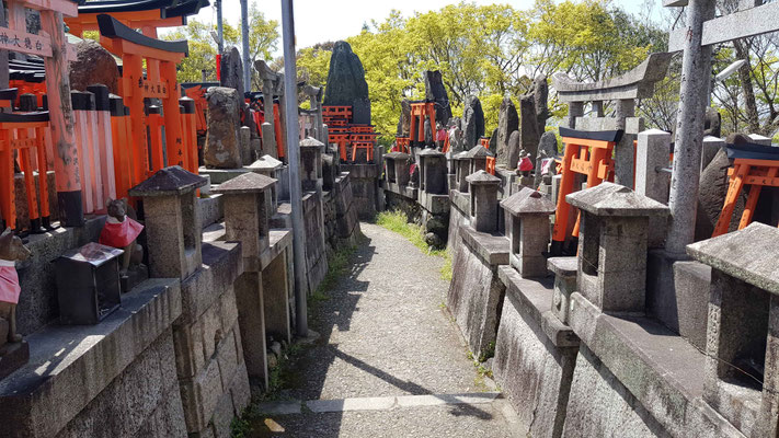 Fushimi-Inari-Taisha Shrine