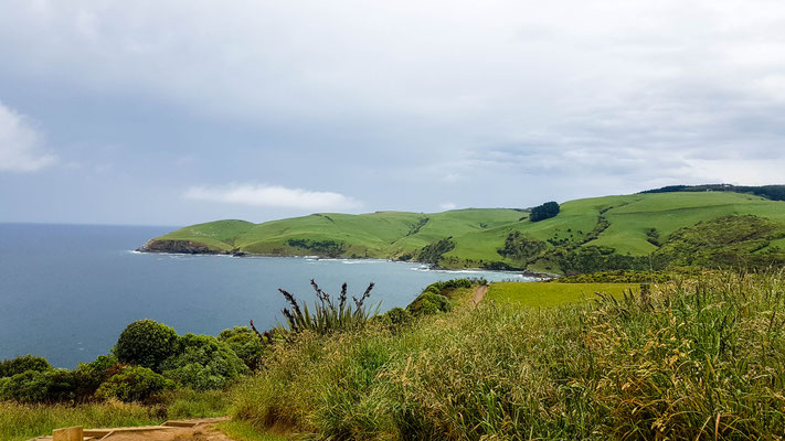 Catlins Region
