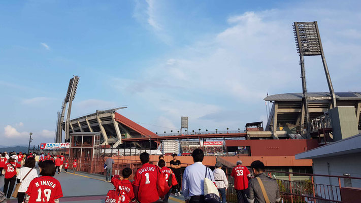 Hiroshima Carp