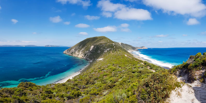Bald Head Trail