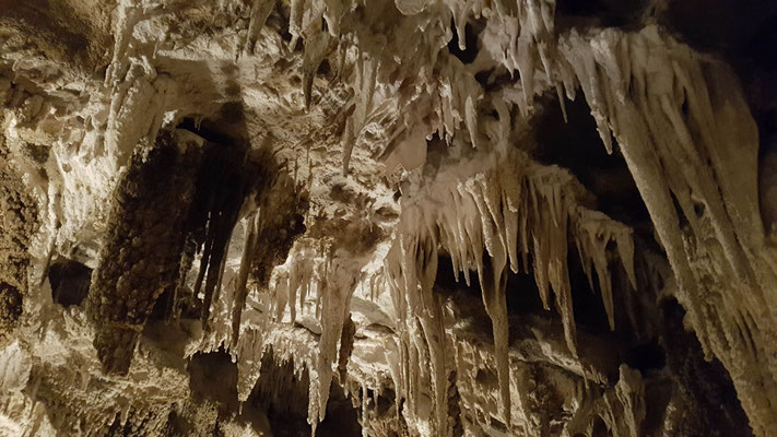 Abel Tasman Nationalpark Tropfsteinhöhle