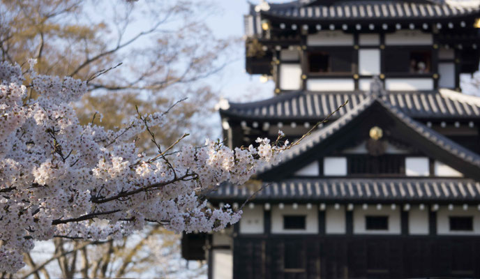 Takada Castle