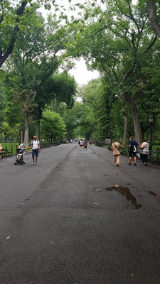Central Park