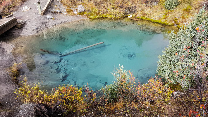 Ink Pots. 4 Grad kalte Quellen. Je schneller sich ein Pool füllt, desto dunkler ist ist.