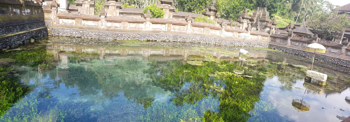 Heilige Quellen des Pura Tirta Empul Tempel