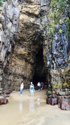 Cathedral Coves