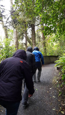 Wanderung zum Wasserfall... auch im Regen wird gewandert:)