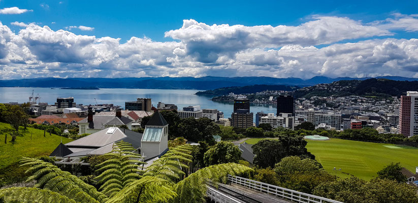 Wellington