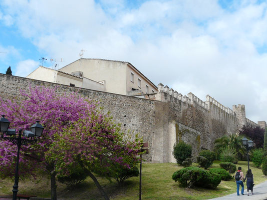 Remparts de la Antequeruela