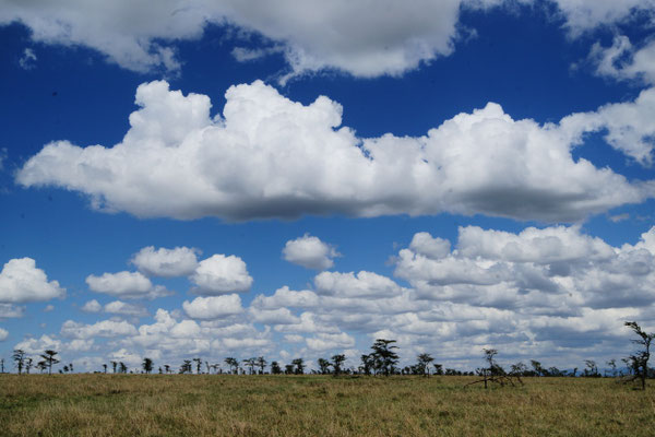 Ol Pejeta Conservancy