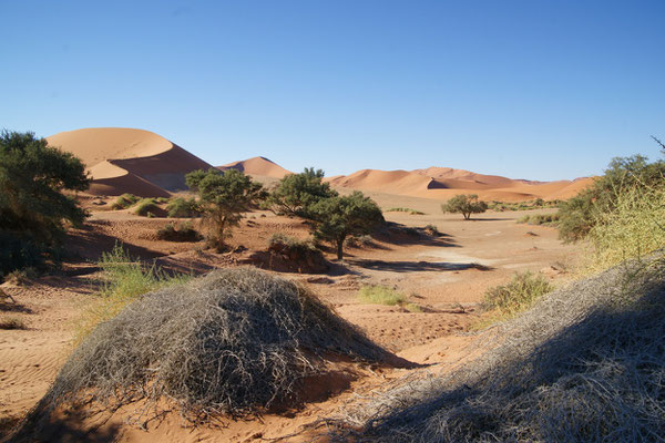 Sossusvlei