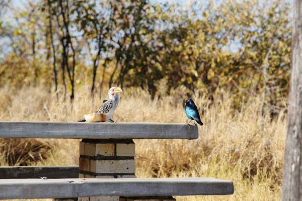 Nata Bird Sanctuary