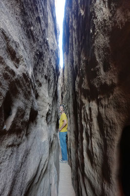 Hisma Wüste, Lange Schlucht / long canyon