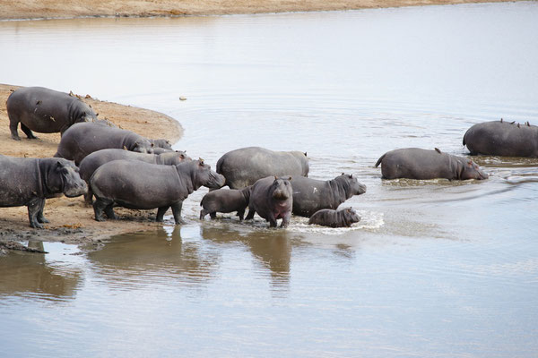 Hwange Nationalpark