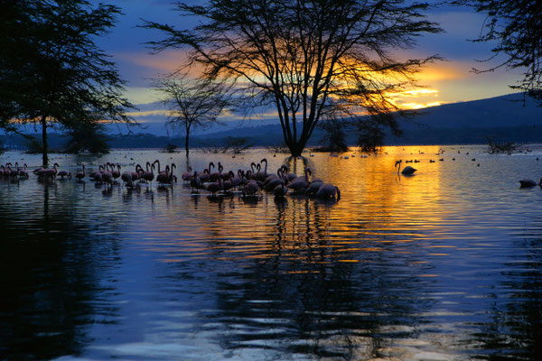 Lake Oloiden