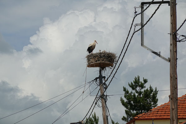 Nahe der Grenze Griechenland - Nordmazedonien / Near the border Greece - North Macedonia