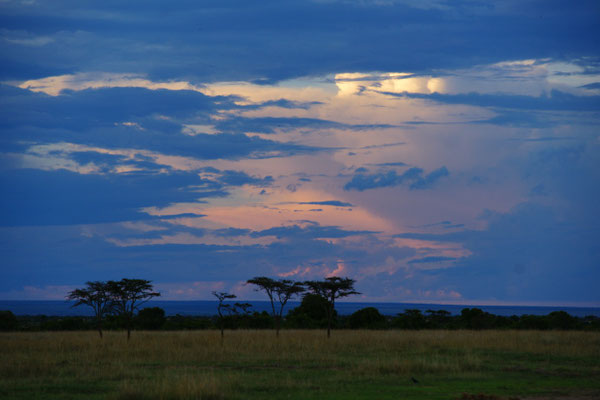 Ol Pejeta Conservancy