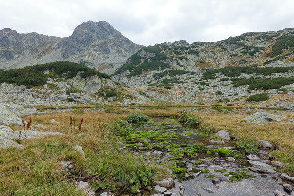 Wanderung Berg Retezat / Hiking Retezat mountain