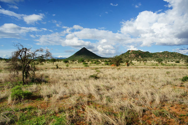 Samburu Nationalpark