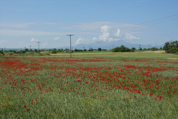 Nahe der Grenze Griechenland - Nordmazedonien / Near the border Greece - North Macedonia