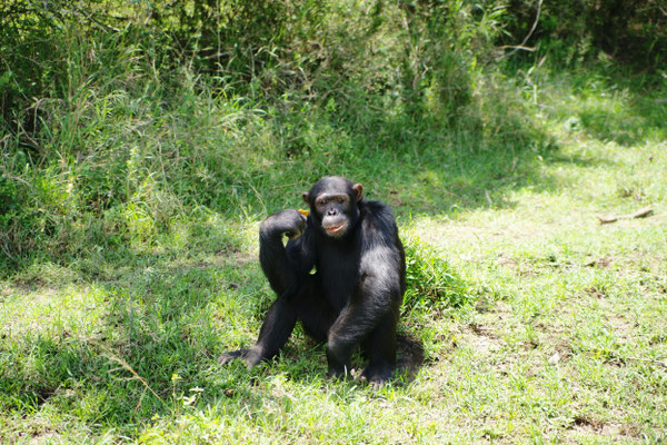 Ol Pejeta Conservancy