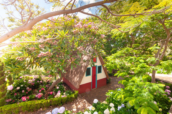 Funchal - Madeira Island