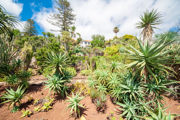  Funchal - Madeira Island