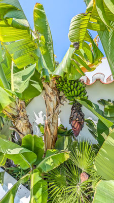 aljezur-algarve-luxury-rental-holiday-villa-with-pool