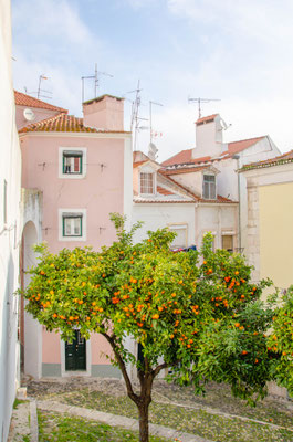 Alfama - Lisbon