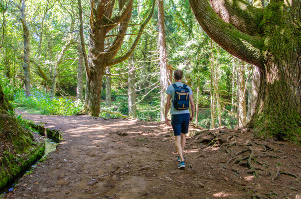 Levada - Madeira Island