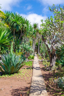  Funchal - Madeira Island