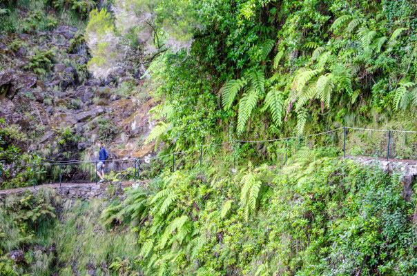 Levada - Madeira Island