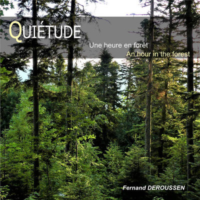 UNE HEURE EN FORÊT