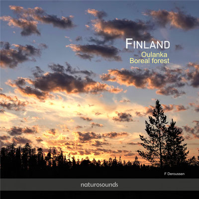 FINLAND - Boreal forest