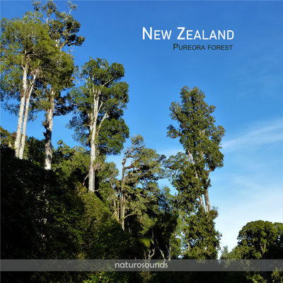 NEW ZEALAND Antipodean islands