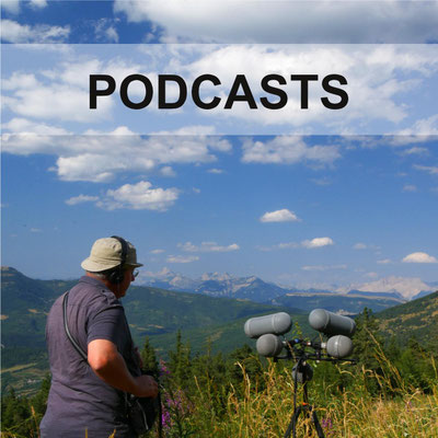 PODCASTS