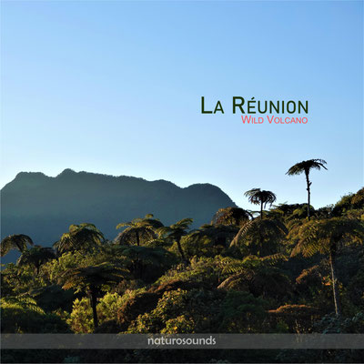 LA REUNION Wild Volcano