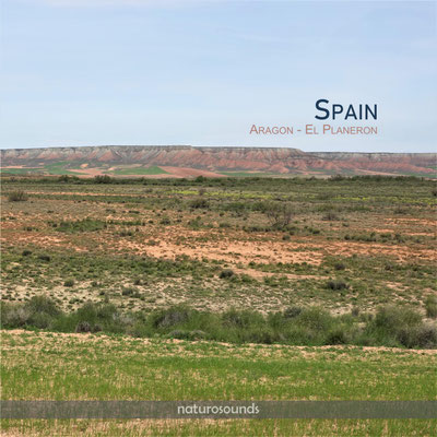SPAIN Aragon El Planeron