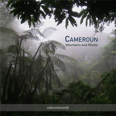 CAMEROUN mountains and forests