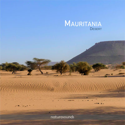 MAURITANIA Desert