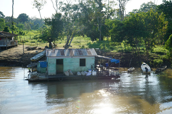 Bewohner vom Amazonas