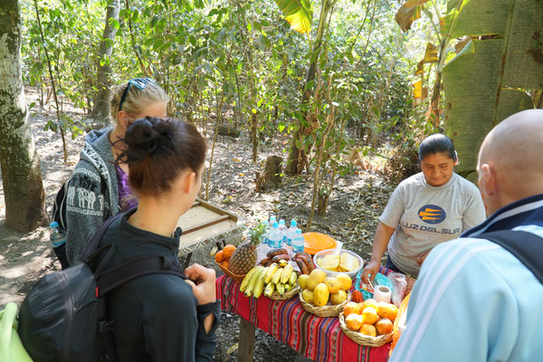 mitten im Jungle, Verkauf von frischen Früchten
