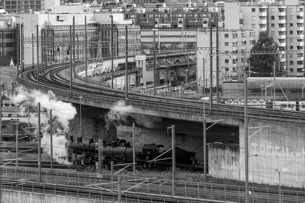 DOUBLE STEAM - 25 May 2025