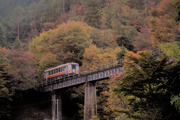 芸備線　備後落合ー道後山　間
