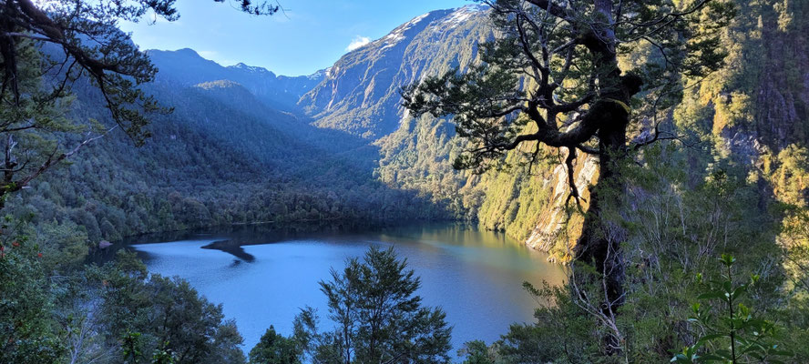 Pumalin Nationalpark
