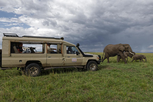 Fotosafari Momente meiner Workshops in der Masai Mara 